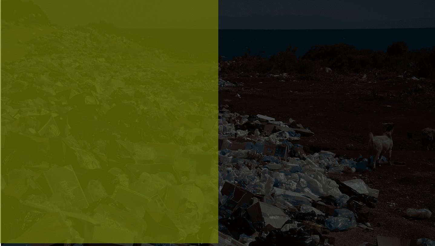Waste Management background